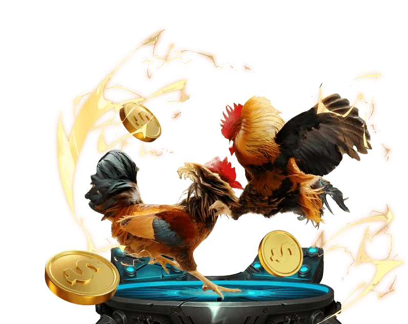 Các chương trình khuyến mãi n8bet